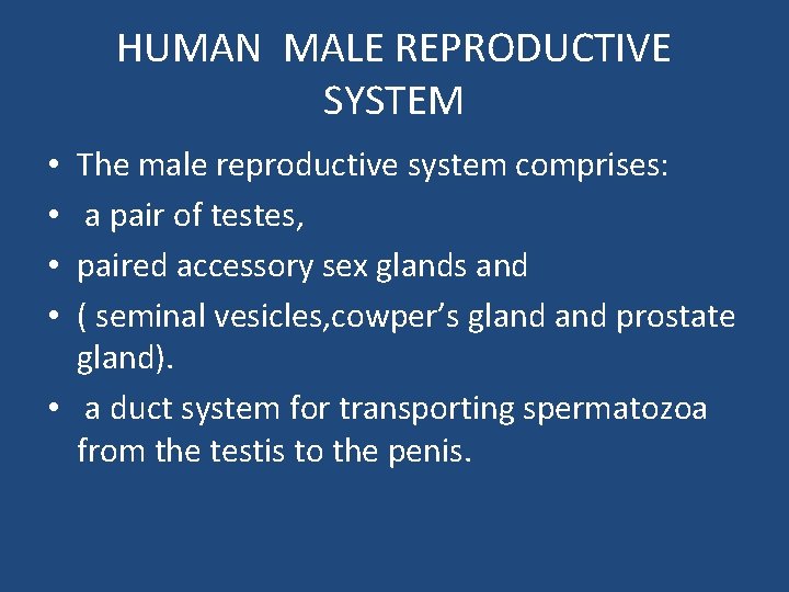 HUMAN MALE REPRODUCTIVE SYSTEM The male reproductive system comprises: a pair of testes, paired