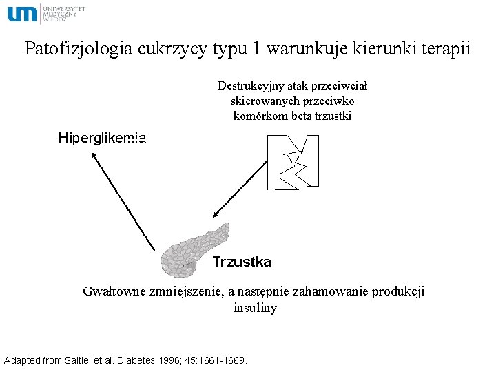 Patofizjologia cukrzycy typu 1 warunkuje kierunki terapii Destrukcyjny atak przeciwciał skierowanych przeciwko komórkom beta