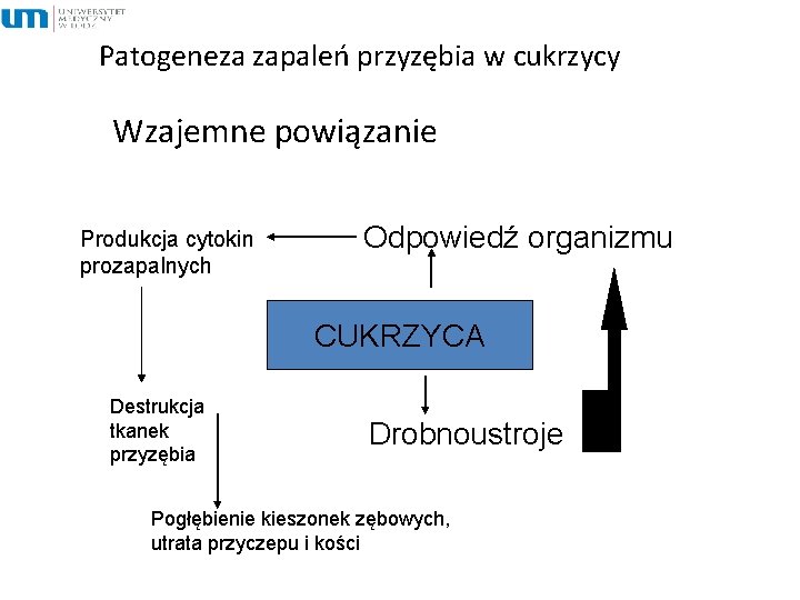 Patogeneza zapaleń przyzębia w cukrzycy Wzajemne powiązanie Produkcja cytokin prozapalnych Odpowiedź organizmu CUKRZYCA Destrukcja