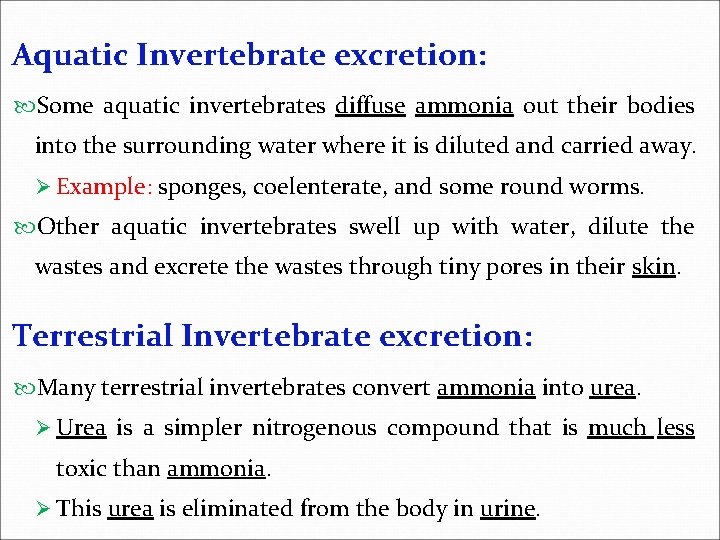 Aquatic Invertebrate excretion: Some aquatic invertebrates diffuse ammonia out their bodies into the surrounding