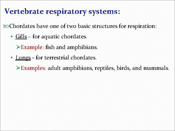 Vertebrate respiratory systems: Chordates have one of two basic structures for respiration: • Gills