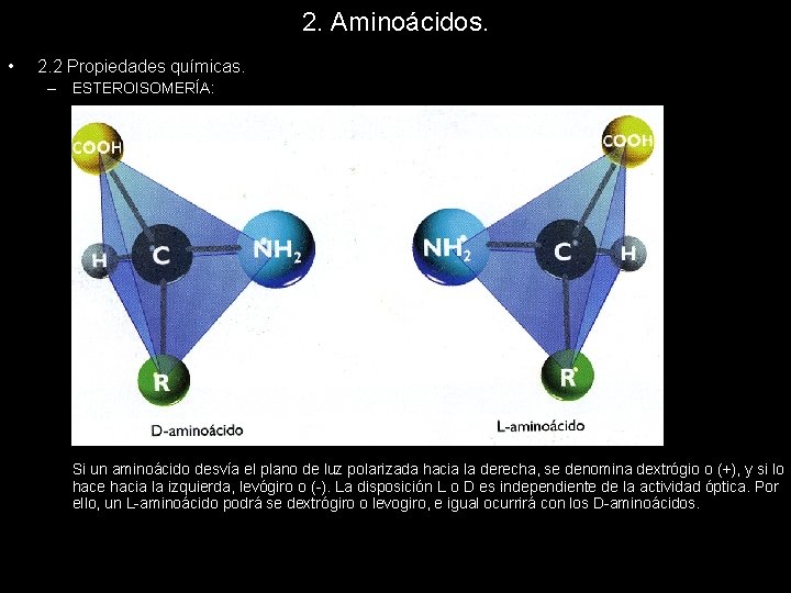 2. Aminoácidos. • 2. 2 Propiedades químicas. – ESTEROISOMERÍA: Si un aminoácido desvía el