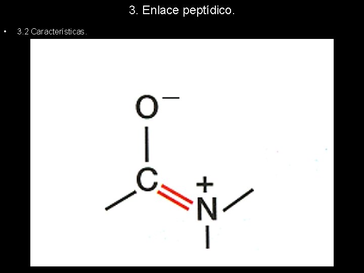 3. Enlace peptídico. • 3. 2 Características. 