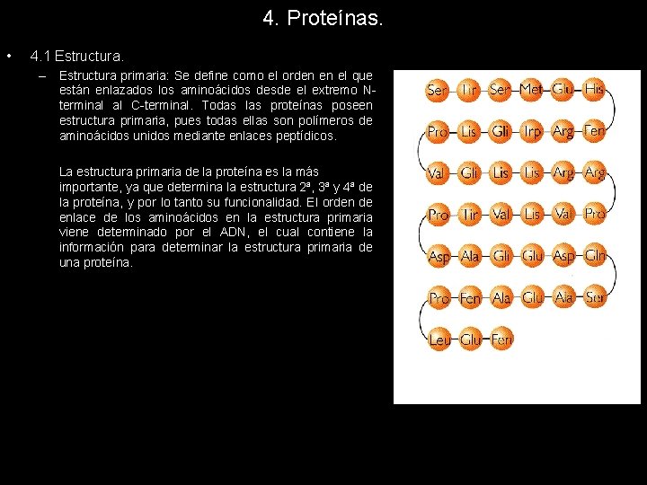 4. Proteínas. • 4. 1 Estructura. – Estructura primaria: Se define como el orden