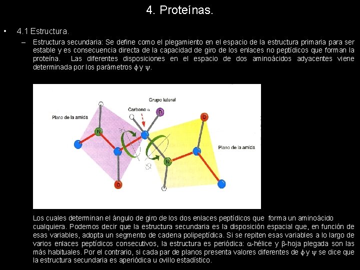 4. Proteínas. • 4. 1 Estructura. – Estructura secundaria: Se define como el plegamiento