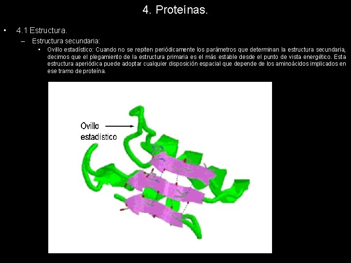 4. Proteínas. • 4. 1 Estructura. – Estructura secundaria: • Ovillo estadístico: Cuando no