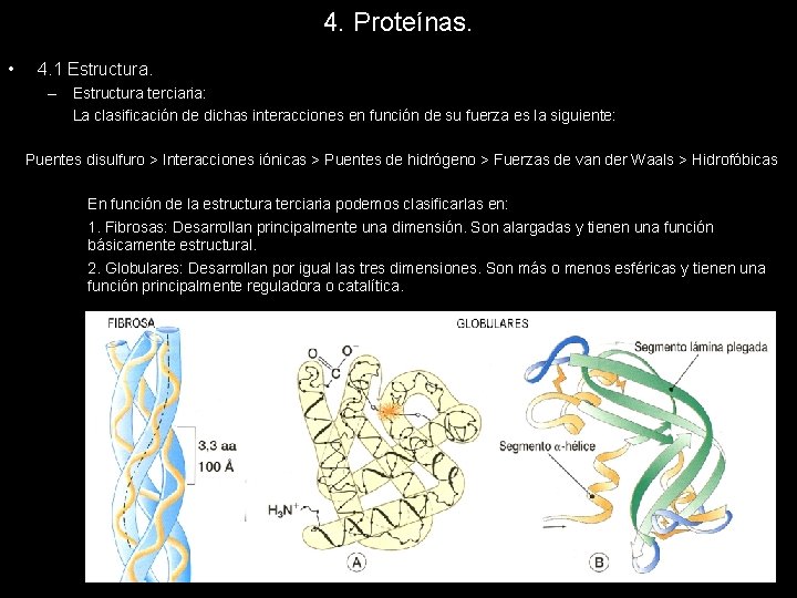 4. Proteínas. • 4. 1 Estructura. – Estructura terciaria: La clasificación de dichas interacciones