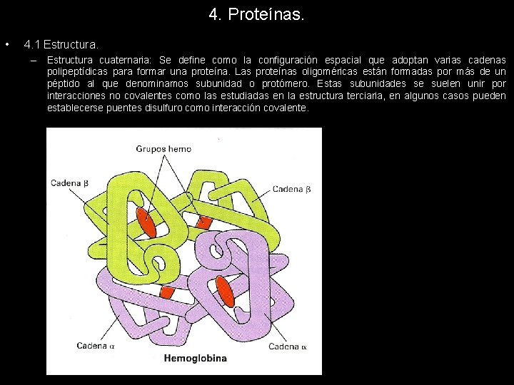 4. Proteínas. • 4. 1 Estructura. – Estructura cuaternaria: Se define como la configuración