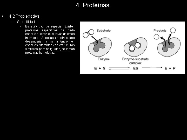4. Proteínas. • 4. 2 Propiedades. – Solubilidad: • Especificidad de especie. Existen proteínas