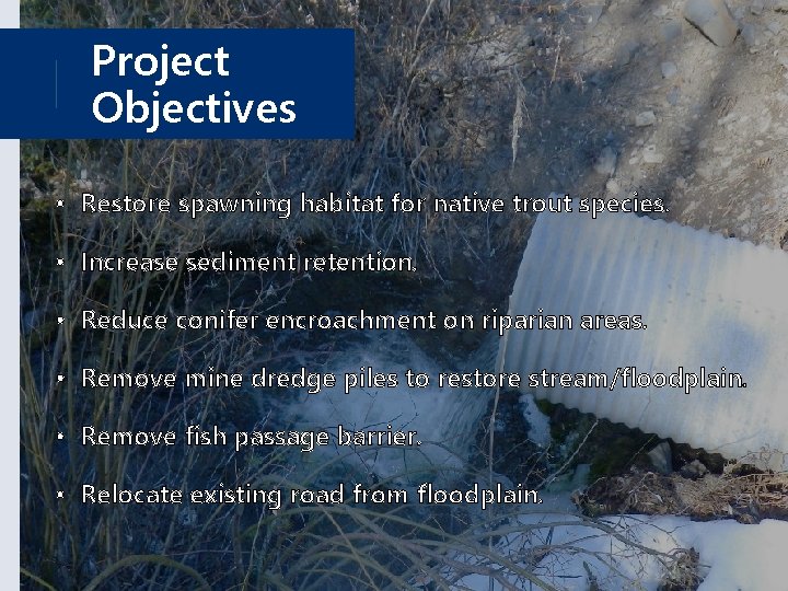 Project Objectives • Restore spawning habitat for native trout species. • Increase sediment retention.