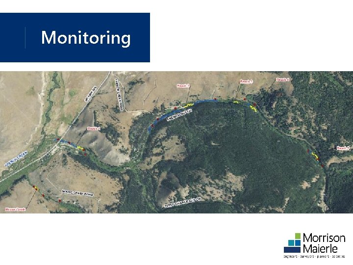 Monitoring 