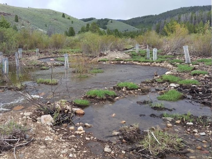 Lower French Creek 