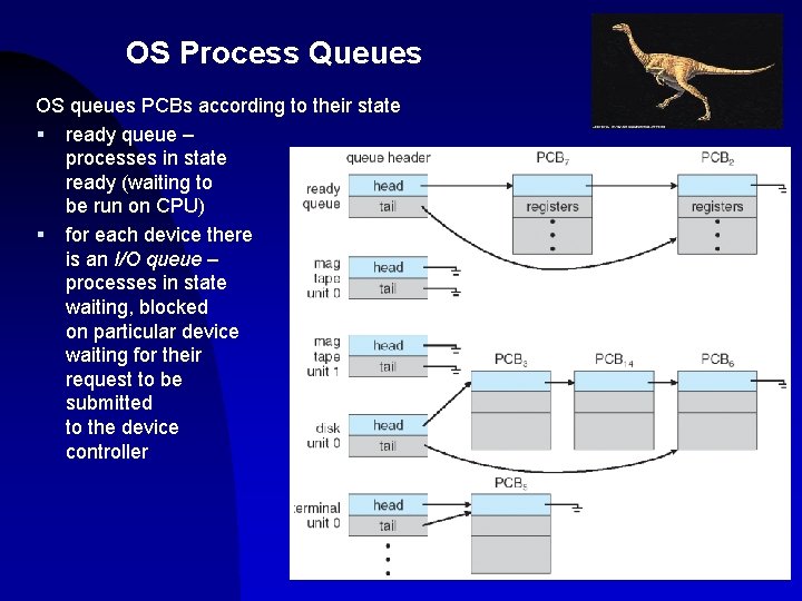 OS Process Queues OS queues PCBs according to their state § ready queue –