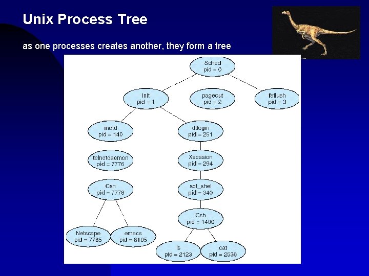 Unix Process Tree as one processes creates another, they form a tree 