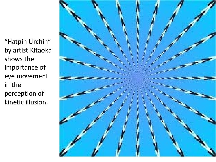 “Hatpin Urchin” by artist Kitaoka shows the importance of eye movement in the perception