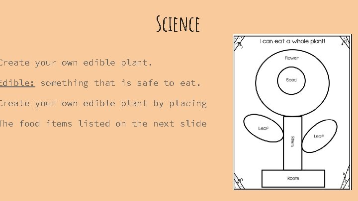 Science Create your own edible plant. Edible: something that is safe to eat. I