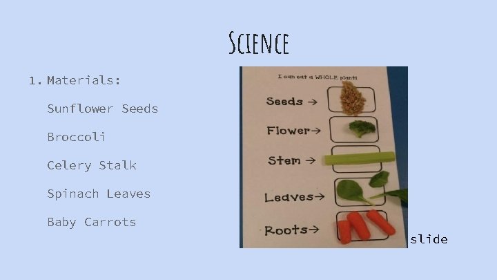 Science 1. Materials: Sunflower Seeds Broccoli Celery Stalk Spinach Leaves Baby Carrots See next
