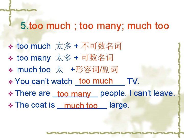 5. too much ; too many; much too much 太多 + 不可数名词 v too 5. too much ; too many; much too much 太多 + 不可数名词 v too