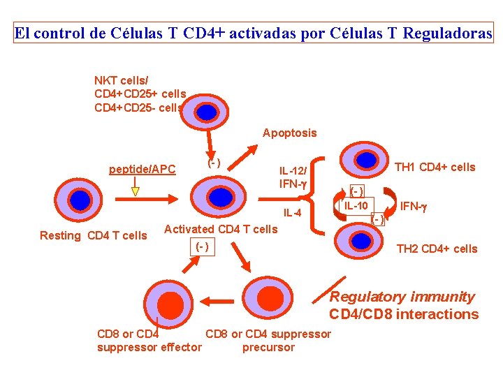 El control de Células T CD 4+ activadas por Células T Reguladoras NKT cells/