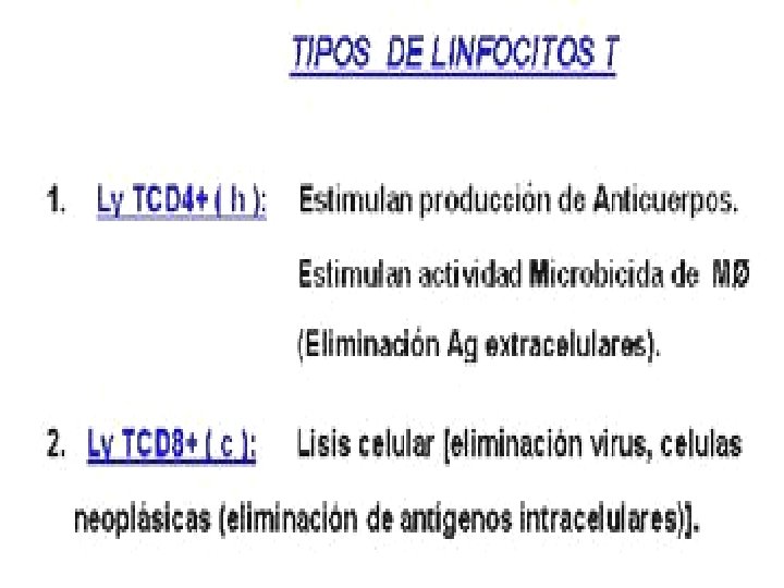 Tipos de LT 