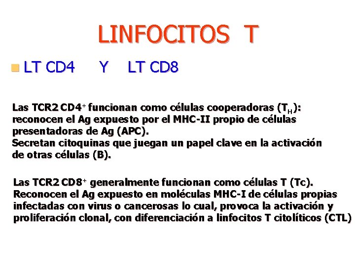 LINFOCITOS T n LT CD 4 Y LT CD 8 Las TCR 2 CD