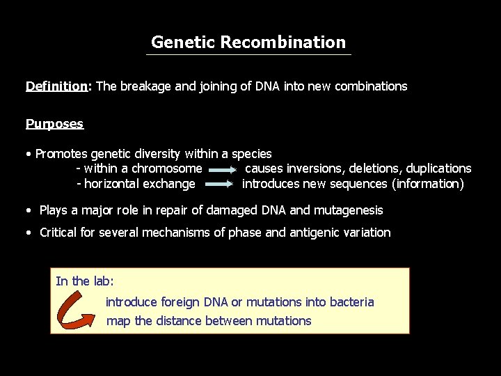 Genetic Recombination Definition: The breakage and joining of DNA into new combinations Purposes •