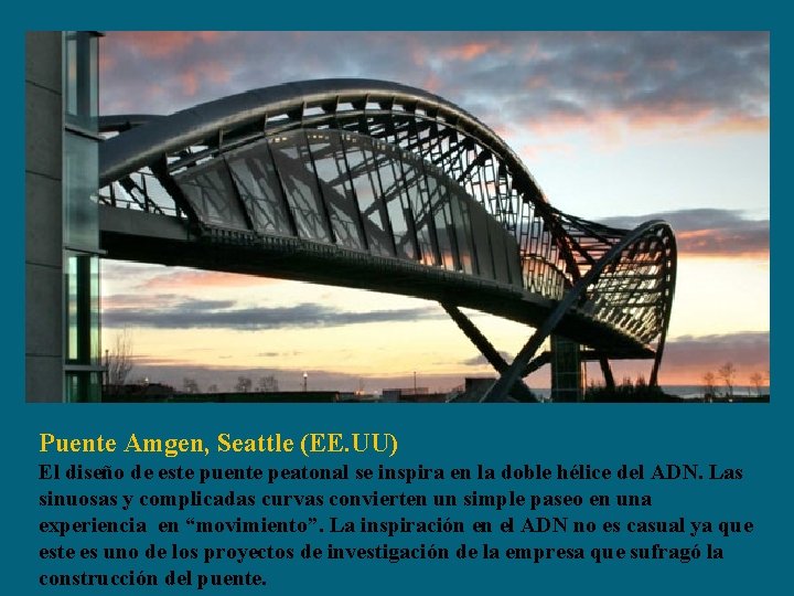 Puente Amgen, Seattle (EE. UU) El diseño de este puente peatonal se inspira en