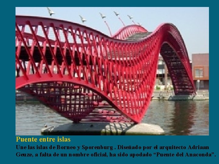 Puente entre islas Une las islas de Borneo y Sporenburg. Diseñado por el arquitecto