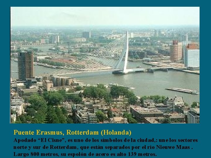 Puente Erasmus, Rotterdam (Holanda) Apodado “El Cisne”, es uno de los símbolos de la