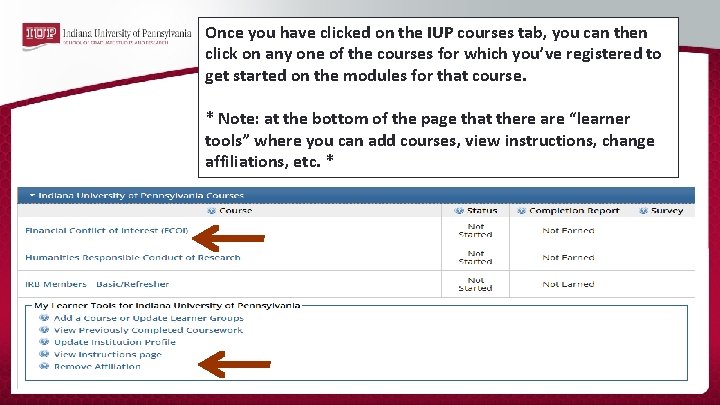 Once you have clicked on the IUP courses tab, you can then click on