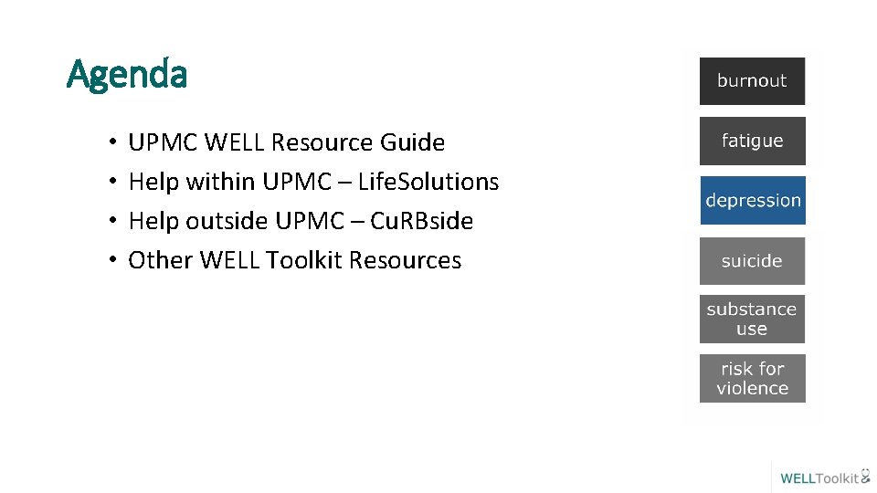 Agenda • • UPMC WELL Resource Guide Help within UPMC – Life. Solutions Help