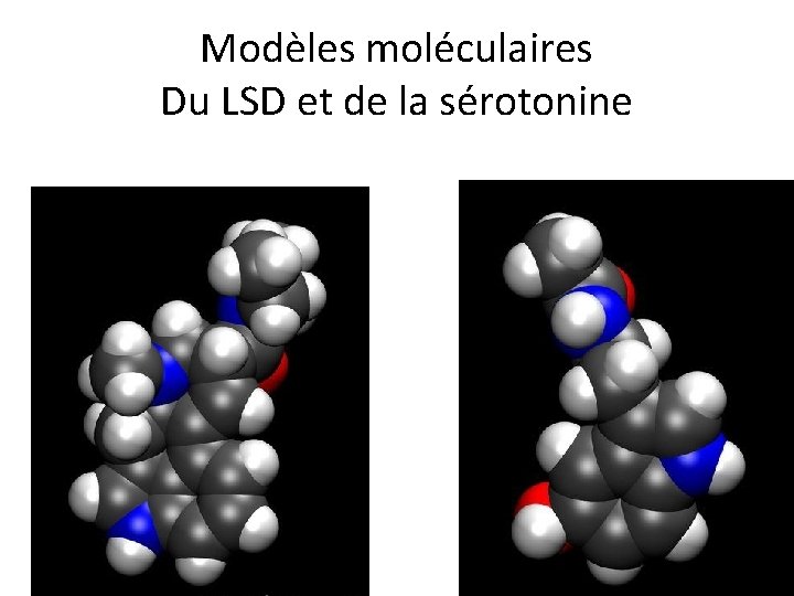 Modèles moléculaires Du LSD et de la sérotonine Modèles moléculaires Du LSD et de la sérotonine