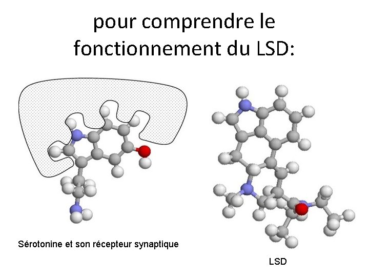 pour comprendre le fonctionnement du LSD: Sérotonine et son récepteur synaptique LSD pour comprendre le fonctionnement du LSD: Sérotonine et son récepteur synaptique LSD