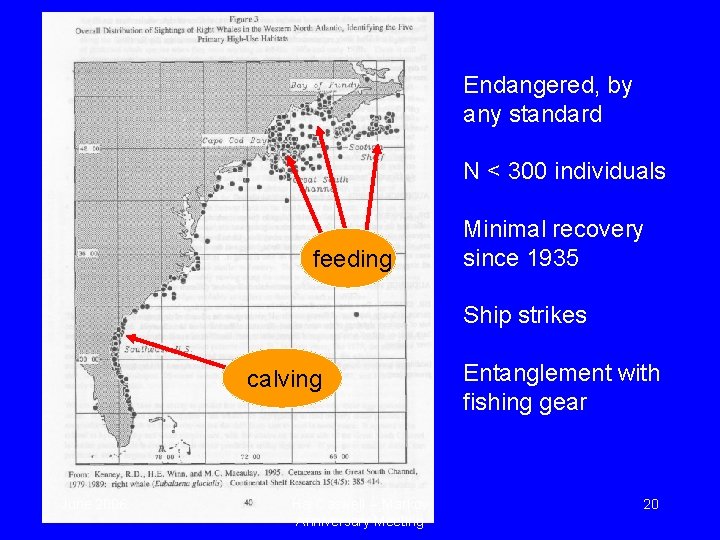 Endangered, by any standard N < 300 individuals feeding Minimal recovery since 1935 Ship