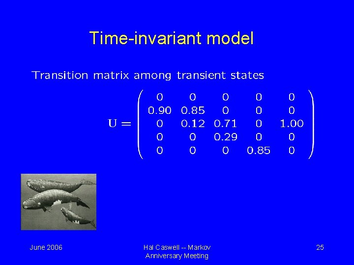 Time-invariant model June 2006 Hal Caswell -- Markov Anniversary Meeting 25 