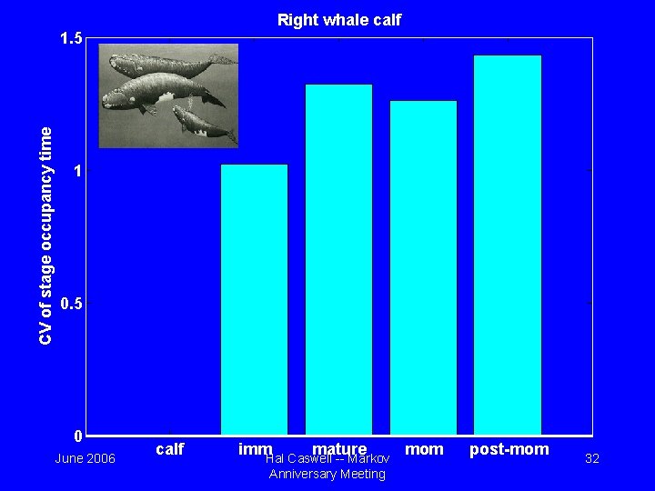 Right whale calf CV of stage occupancy time 1. 5 1 0. 5 0