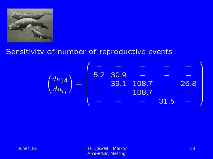 June 2006 Hal Caswell -- Markov Anniversary Meeting 36 June 2006 Hal Caswell -- Markov Anniversary Meeting 36