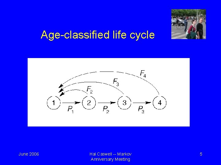 Age-classified life cycle June 2006 Hal Caswell -- Markov Anniversary Meeting 5 Age-classified life cycle June 2006 Hal Caswell -- Markov Anniversary Meeting 5