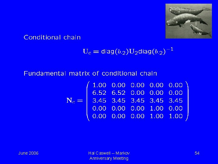 June 2006 Hal Caswell -- Markov Anniversary Meeting 54 