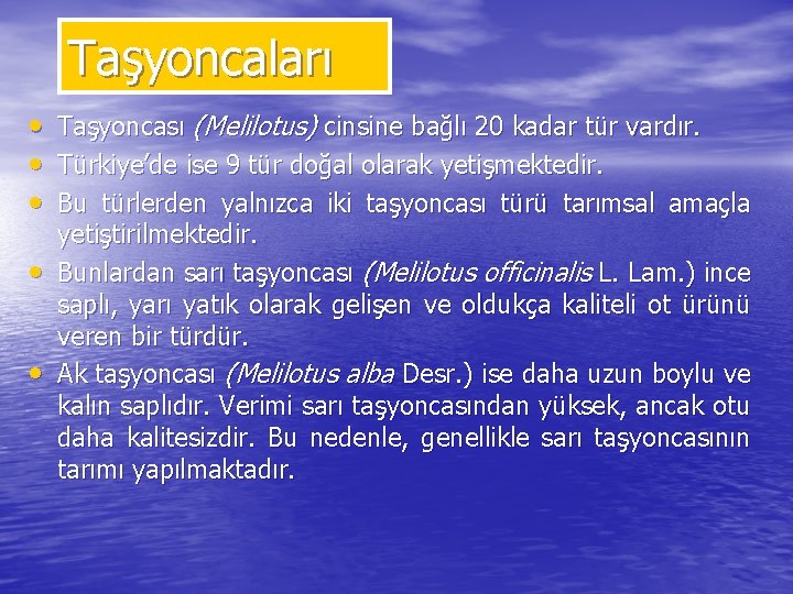 Taşyoncaları • • • Taşyoncası (Melilotus) cinsine bağlı 20 kadar tür vardır. Türkiye’de ise