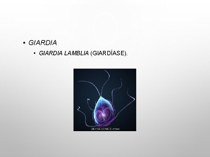  • GIARDIA LAMBLIA (GIARDÍASE). 