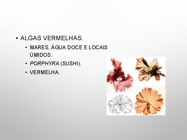 • ALGAS VERMELHAS. • MARES, ÁGUA DOCE E LOCAIS ÚMIDOS. • PORPHYRA (SUSHI).