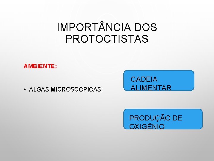 IMPORT NCIA DOS PROTOCTISTAS AMBIENTE: • ALGAS MICROSCÓPICAS: CADEIA ALIMENTAR PRODUÇÃO DE OXIGÊNIO 