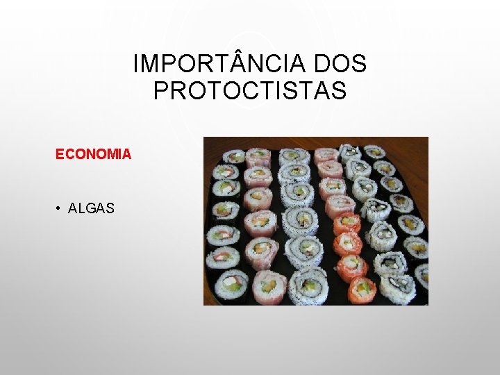 IMPORT NCIA DOS PROTOCTISTAS ECONOMIA ALIMENTO • ALGAS INDÚSTRIA 