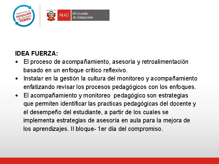 IDEA FUERZA: El proceso de acompañamiento, asesoría y retroalimentación basado en un enfoque crítico