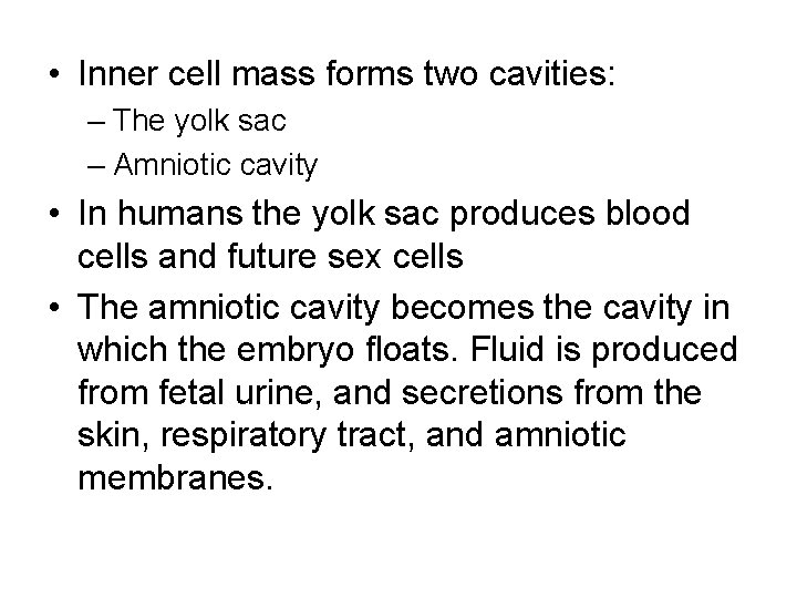  • Inner cell mass forms two cavities: – The yolk sac – Amniotic