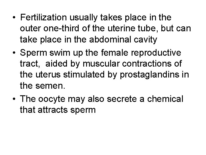  • Fertilization usually takes place in the outer one-third of the uterine tube,