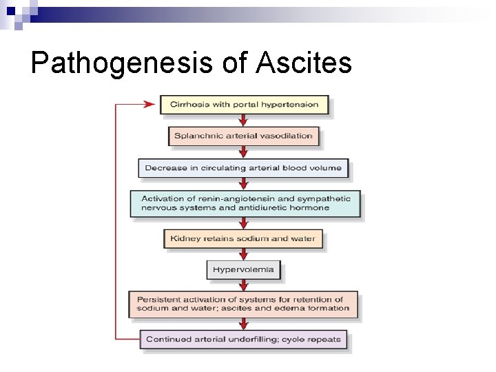 Pathogenesis of Ascites 