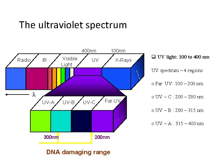 The ultraviolet spectrum 400 nm Radio IR Visible Light 100 nm UV X-Rays q