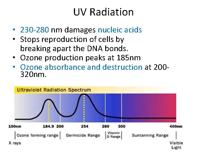 UV Radiation • 230 -280 nm damages nucleic acids • Stops reproduction of cells